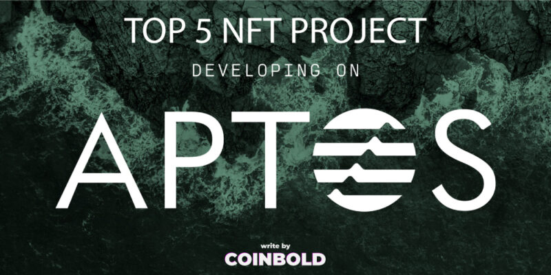 The Top 5 NFT Projects in Aptos You Shouldnt Miss