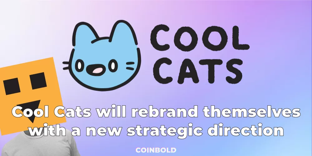 Cool Cats will rebrand themselves with a new strategic direction