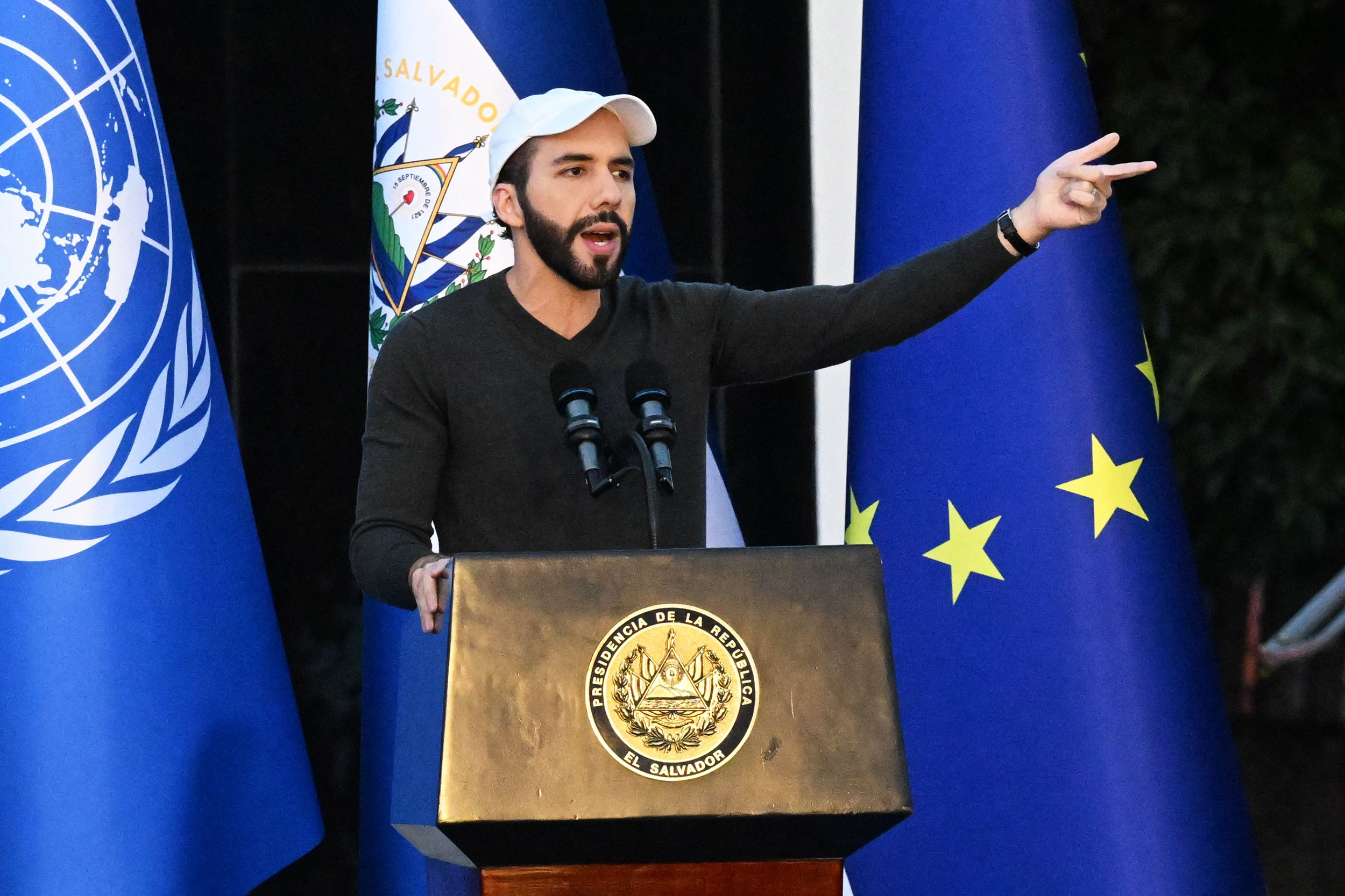 President Nayib Bukele is the direct supervisor of the Bitcoin Office.
