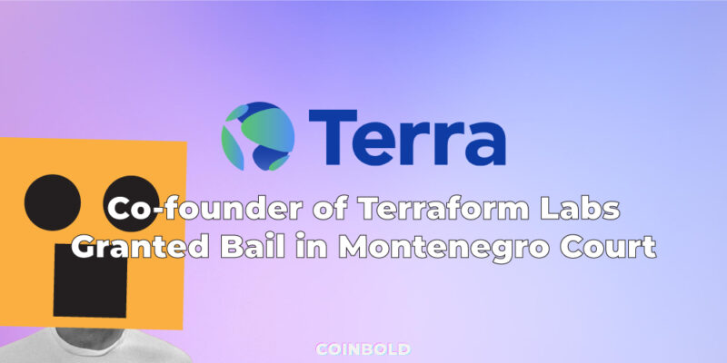 Co-founder of Terraform Labs Granted Bail in Montenegro Court