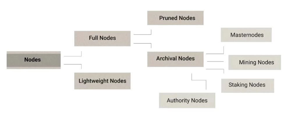 10 typr node