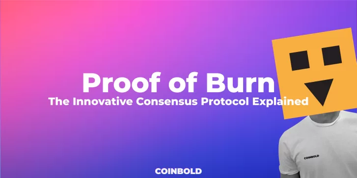 Proof of Burn The Innovative Consensus Protocol Explained