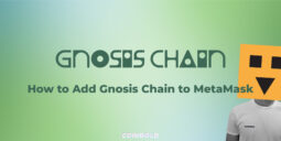 How to Add Gnosis Chain to MetaMask