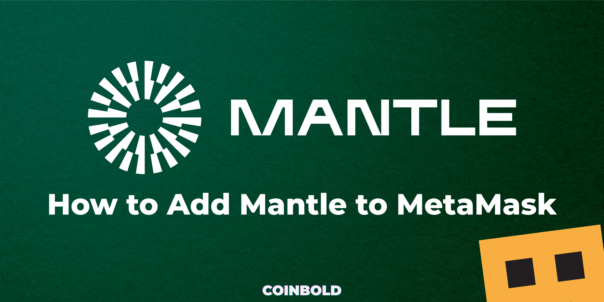 How to Add Mantle to MetaMask