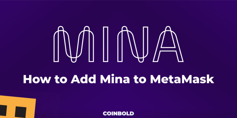 How to Add Mina to MetaMask