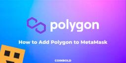 How to Add Polygon to MetaMask