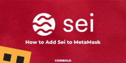 How to Add Sei to MetaMask