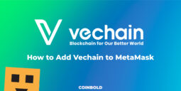 How to Add Vechain to MetaMask