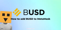 How to add BUSD to MetaMask