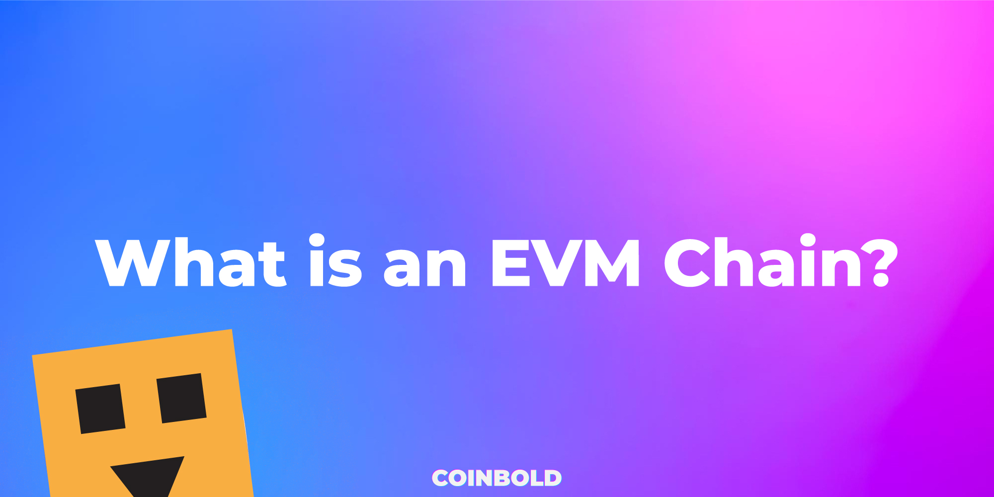 What is an EVM Chain