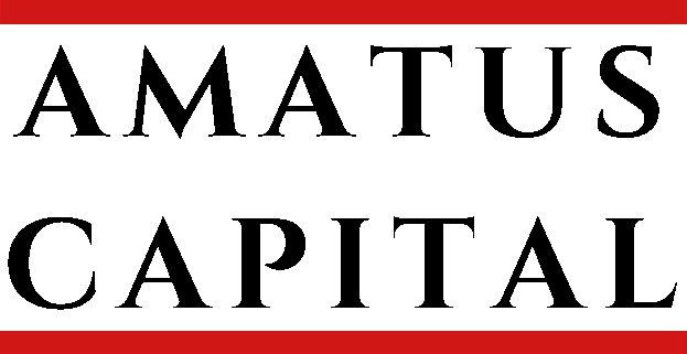 amatus capital e1676899522453