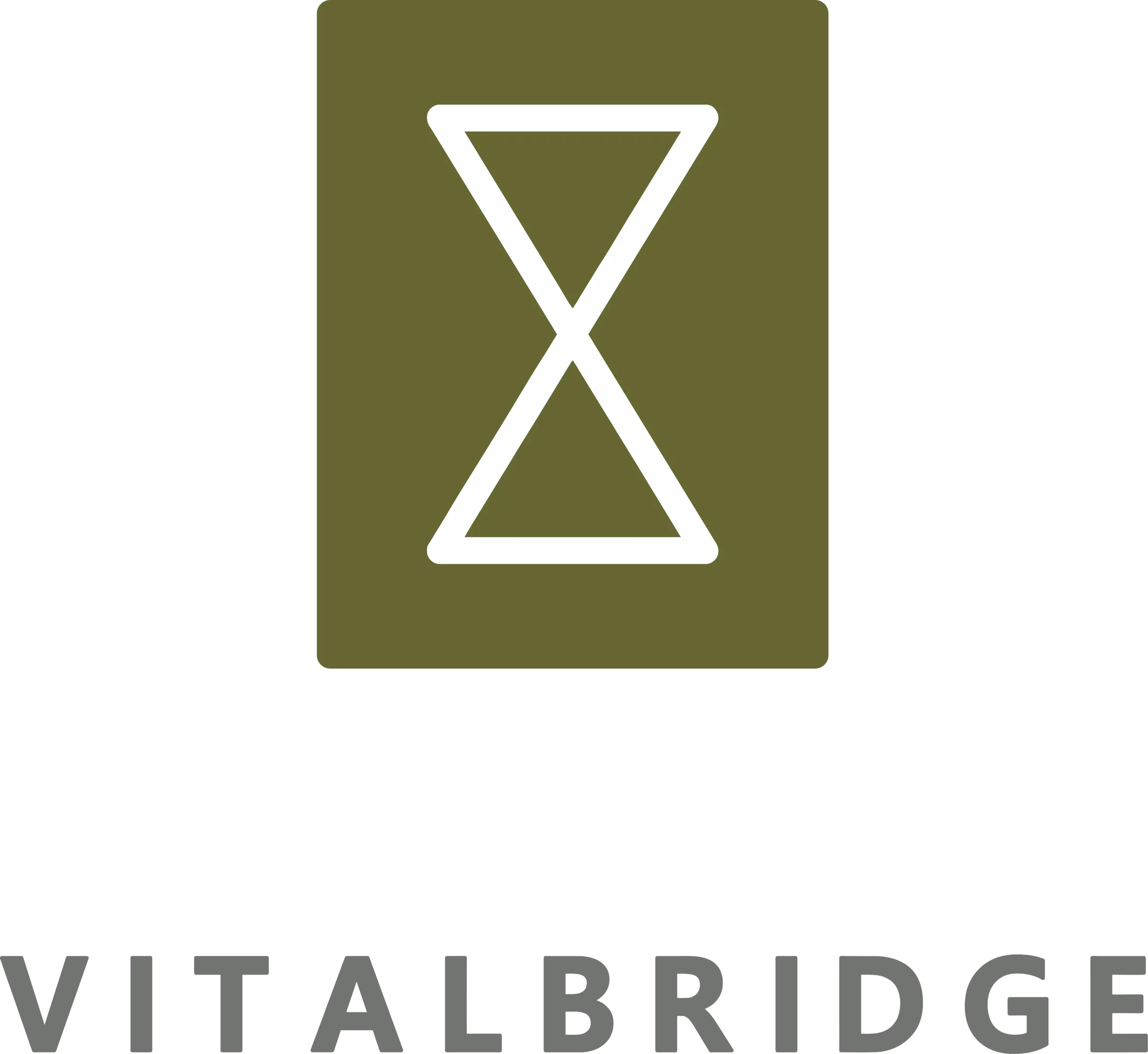 vitalbridge capital scaled 1