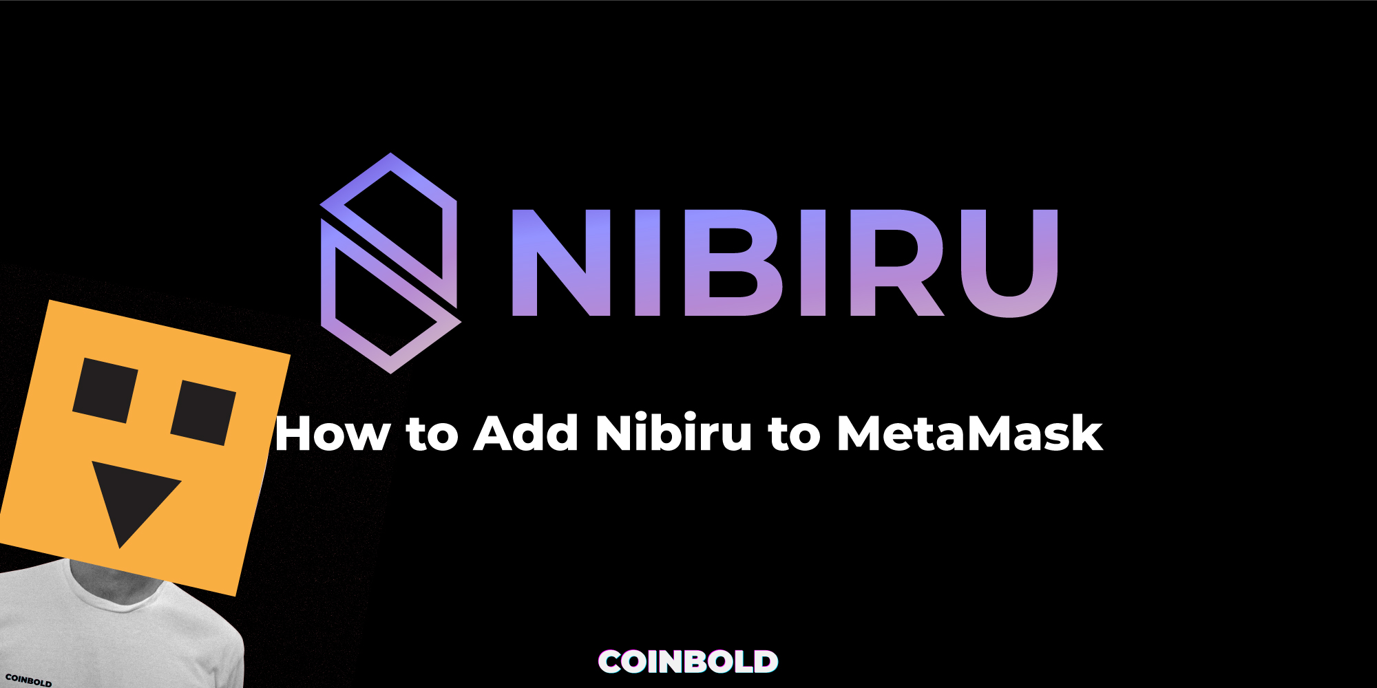 How to Add Nibiru to MetaMask