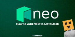 How to Add NEO to MetaMask