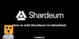 How to Add Shardeum to MetaMask