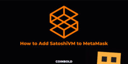 How to Add SatoshiVM to MetaMask