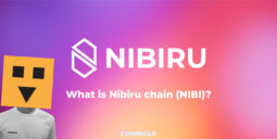 What is Nibiru chain (NIBI)?