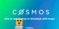 How to add Cosmos to MetaMask with snaps